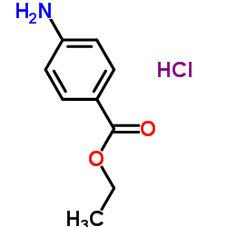 Bulk benzocaine china