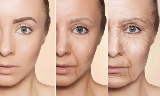 Glutathione Antioxidant Protection | Shaanxi BLOOM Tech Co., Ltd Glutathione Antioxidant Protection | Shaanxi BLOOM Tech Co., Ltd