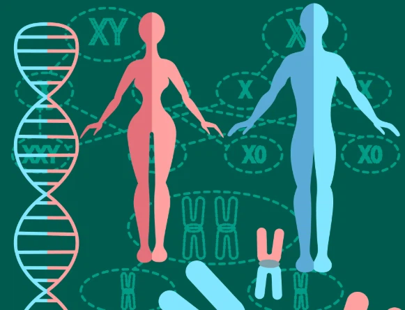 5-amino-1mq for sale | Shaanxi BLOOM Tech Co., Ltd 5-amino-1mq for sale | Shaanxi BLOOM Tech Co., Ltd