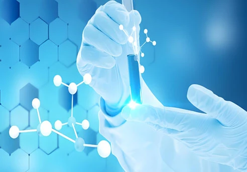 Palonosetron Hcl use | Shaanxi BLOOM Tech Co., Ltd Palonosetron Hcl use | Shaanxi BLOOM Tech Co., Ltd