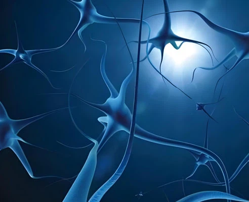 Cerebrolysin Tablets use| Shaanxi BLOOM Tech Co., Ltd Cerebrolysin Tablets use| Shaanxi BLOOM Tech Co., Ltd