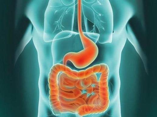 Alarelin Peptic Ulcer | Shaanxi BLOOM Tech Co., Ltd Alarelin Peptic Ulcer | Shaanxi BLOOM Tech Co., Ltd